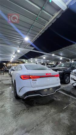 بي واي دي سيل 06 DM-i